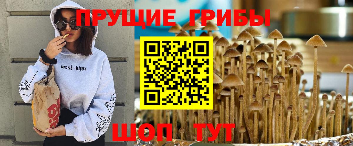 Галлюциногенные грибы прущие грибы Карталы
