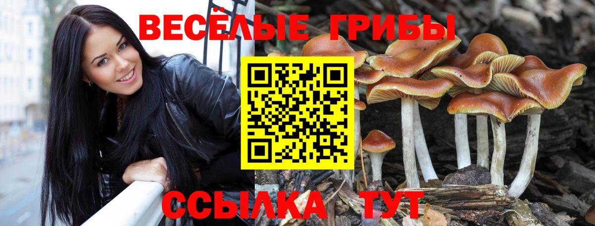 Карталы  Галлюциногенные грибы GOLDEN TEACHER  Вход с VPN 